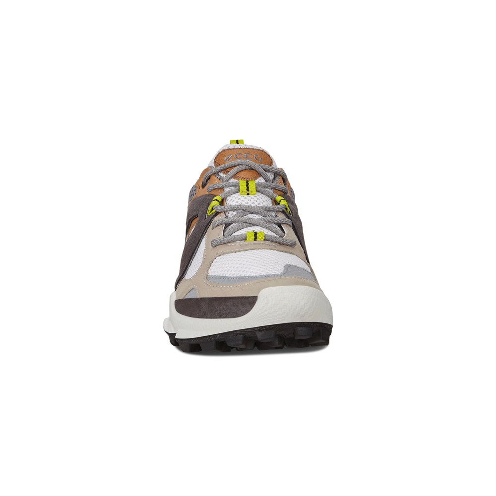 ECCO Womens Hiking Shoes Multicolor - Biom C-Trail Low - CWH-938256